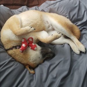 Meet your Posher, Vivian